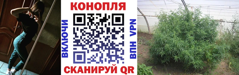 Купить закладку A-PVP  АМФ  ГАШИШ  Конопля  Меф  Удомля