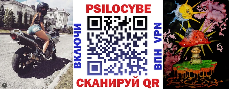 Купить где  Удомля  Псилоцибиновые грибы прущие грибы 