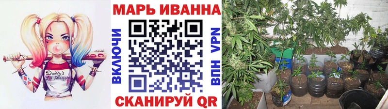 Каннабис марихуана Удомля